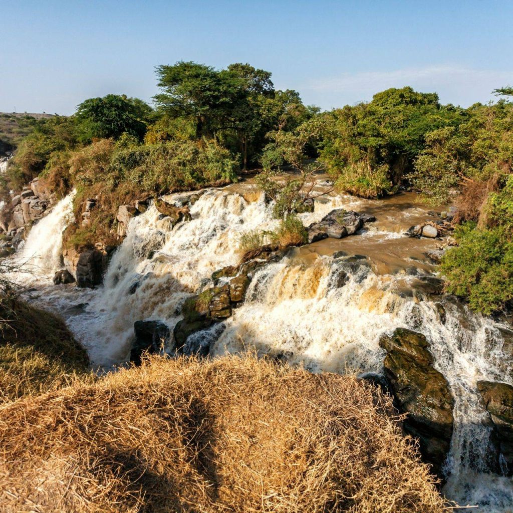 Awash Harar Tour Awash Harar Tour wildlife safari Awash Harar Tour in Awash National Park Awash Harar Tour hyena feeding Awash Harar Tour Harar Jugol Awash Harar Tour Ethiopia Awash Harar Tour birdwatching Awash Harar Tour Awash Falls
